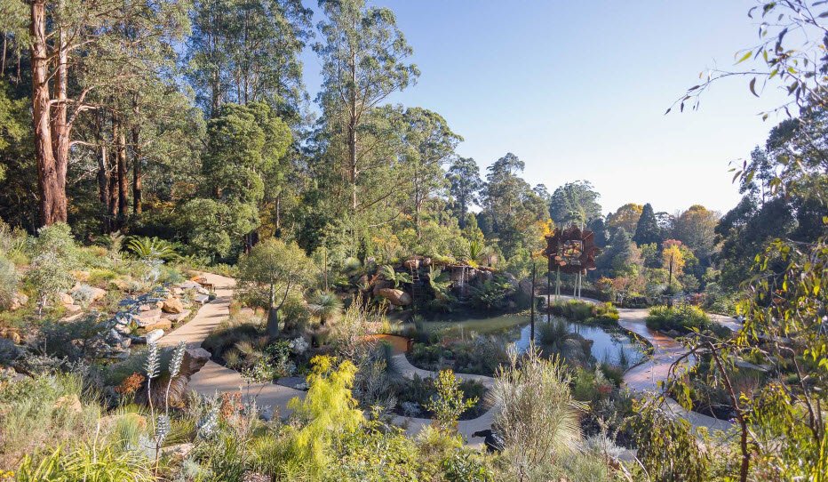 Dandenong Ranges Botanic Garden, Australia